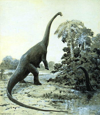 Diplodocus in swamp